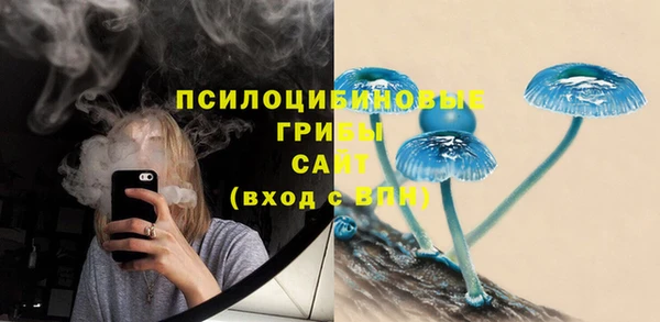 гидропоника Алзамай
