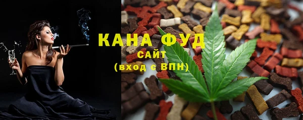 spice Дмитриев