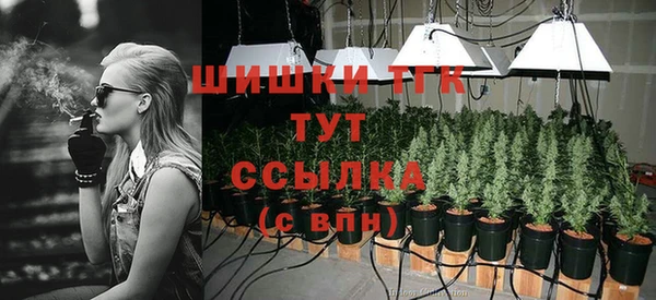 гидропоника Алзамай