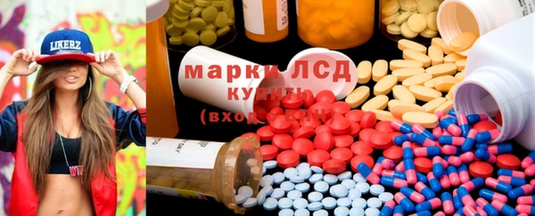 гидропоника Алзамай