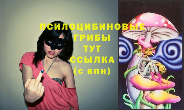 винт Алексеевка