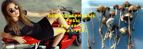 гидропоника Алзамай